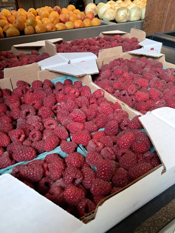 Fresh raspberries in baskets