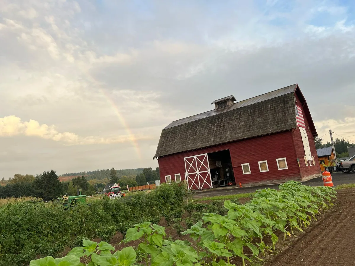 McMillin Farm barn with rainbow