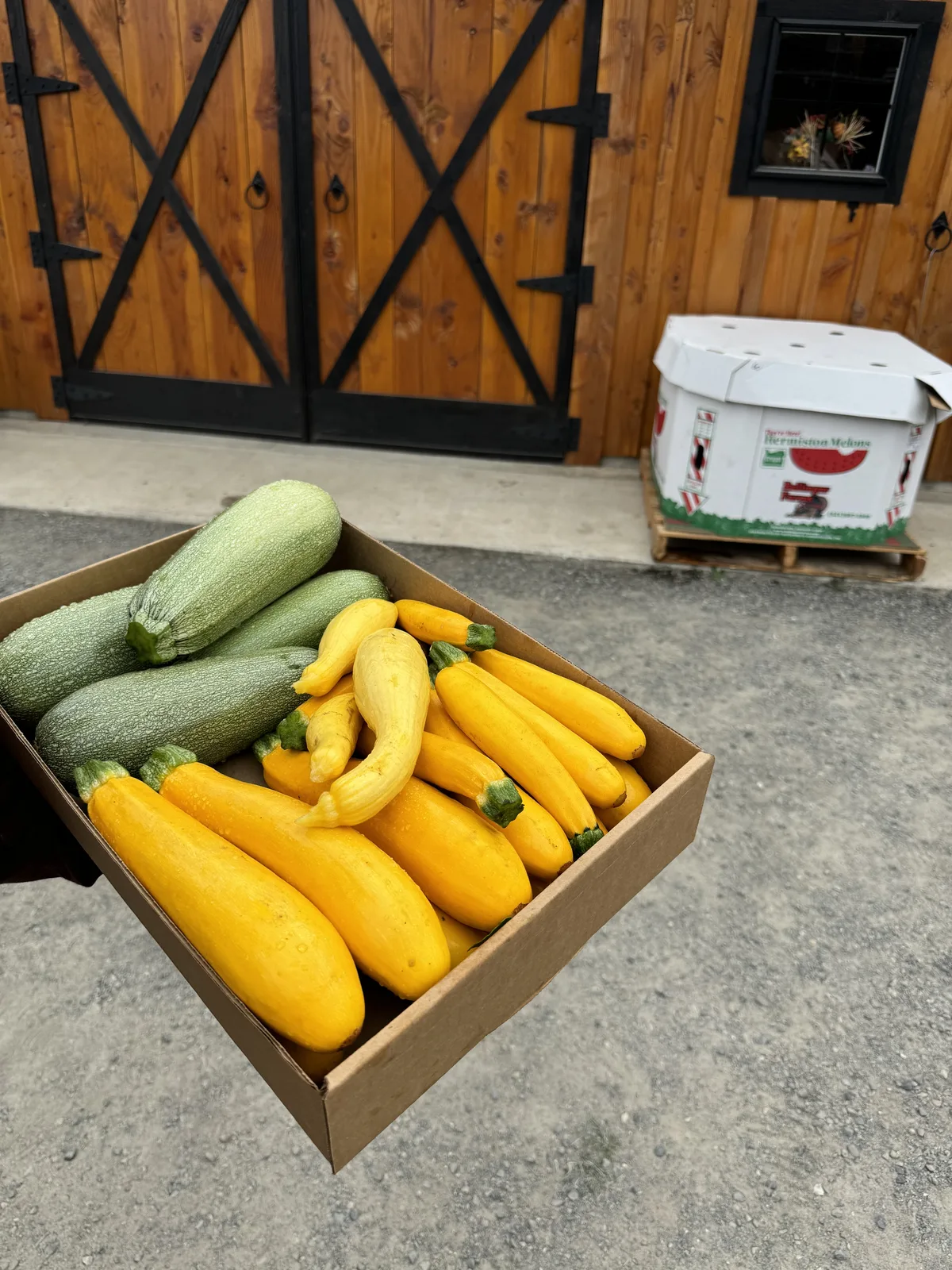 Fresh squash and zucchini from the farm