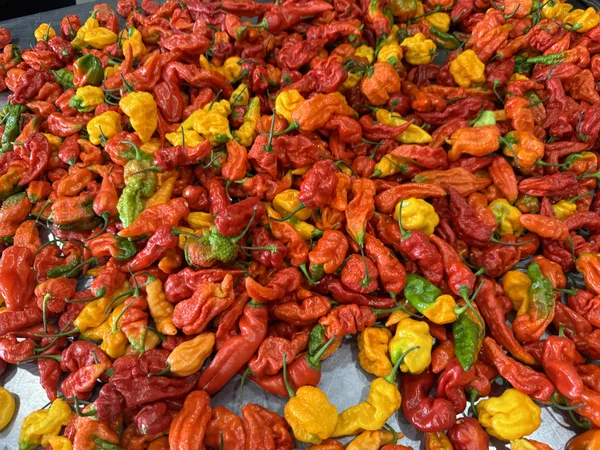 Colorful peppers and spices