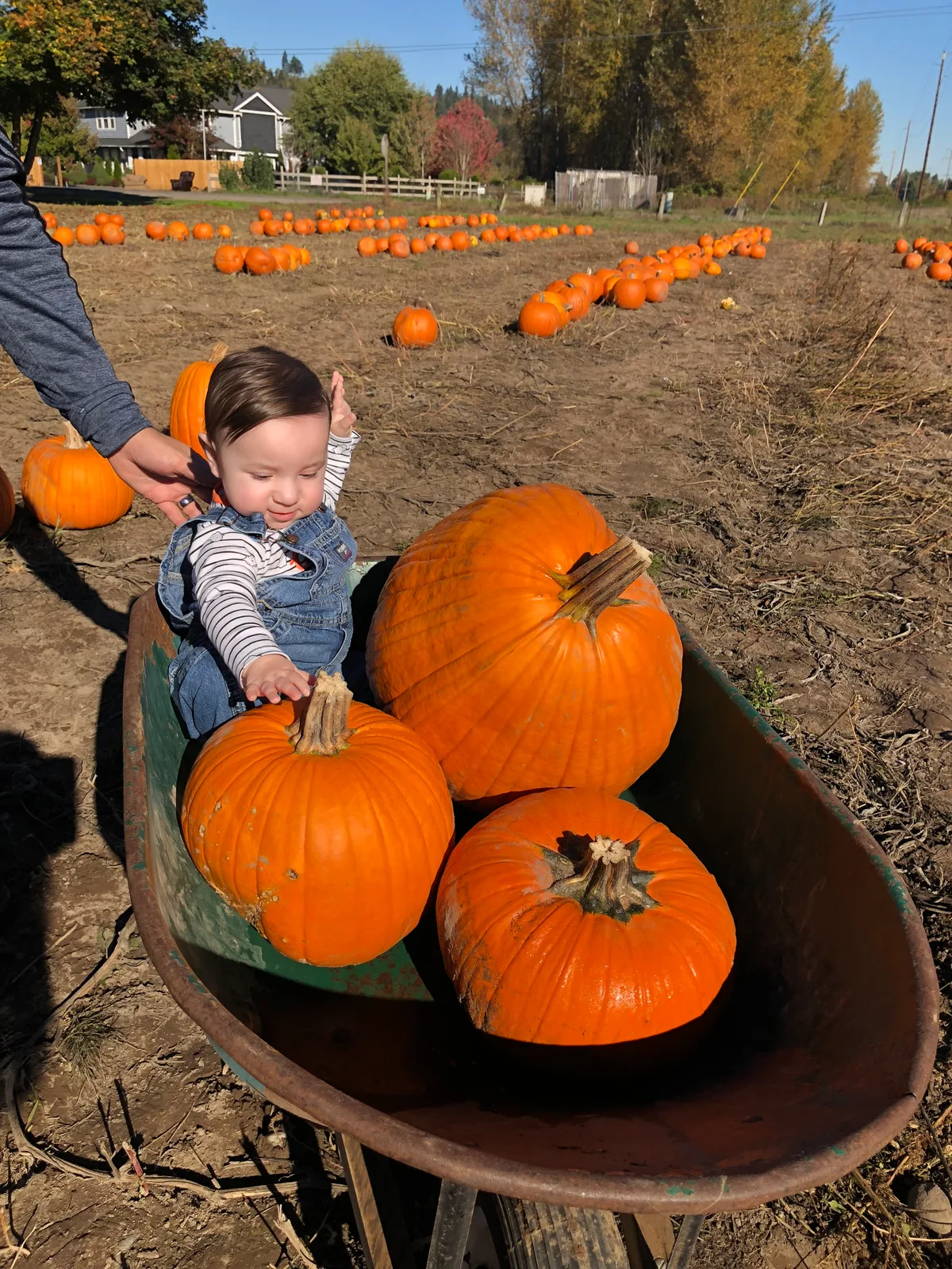 Family moments at McMillin Farm